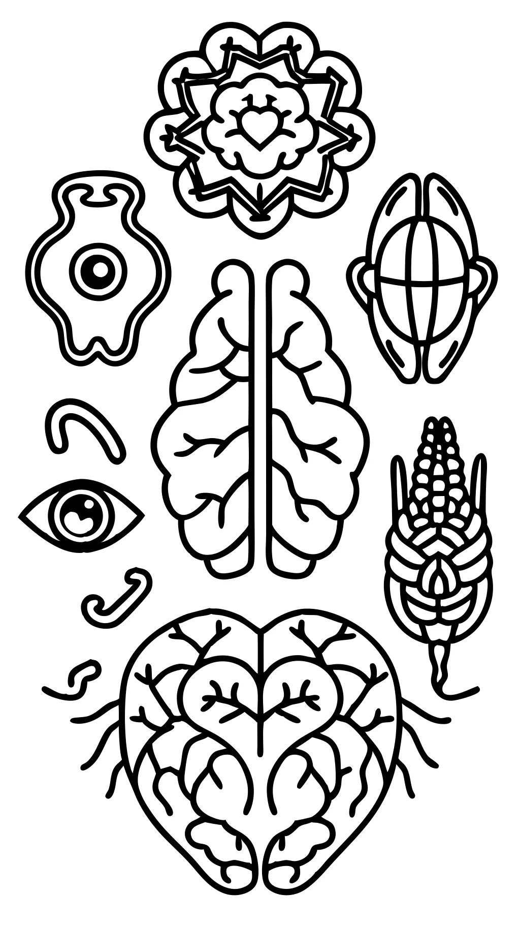 coloring pages parts of the body